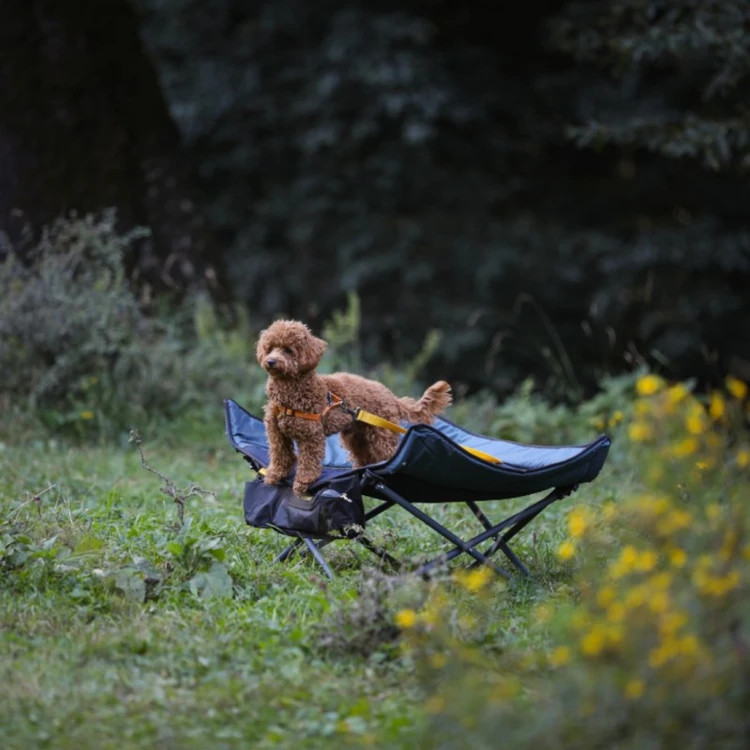 تخت حیوانات خانگی کایوت Camping Bed پایه ها