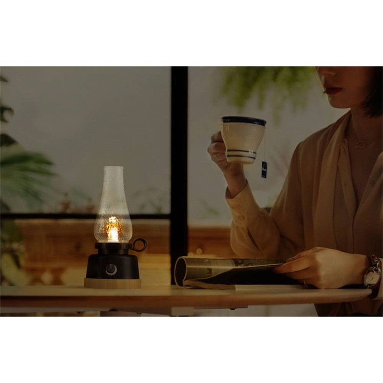 فانوس شارژی وایلدلند Oil Lantern - جزئیات بدنه